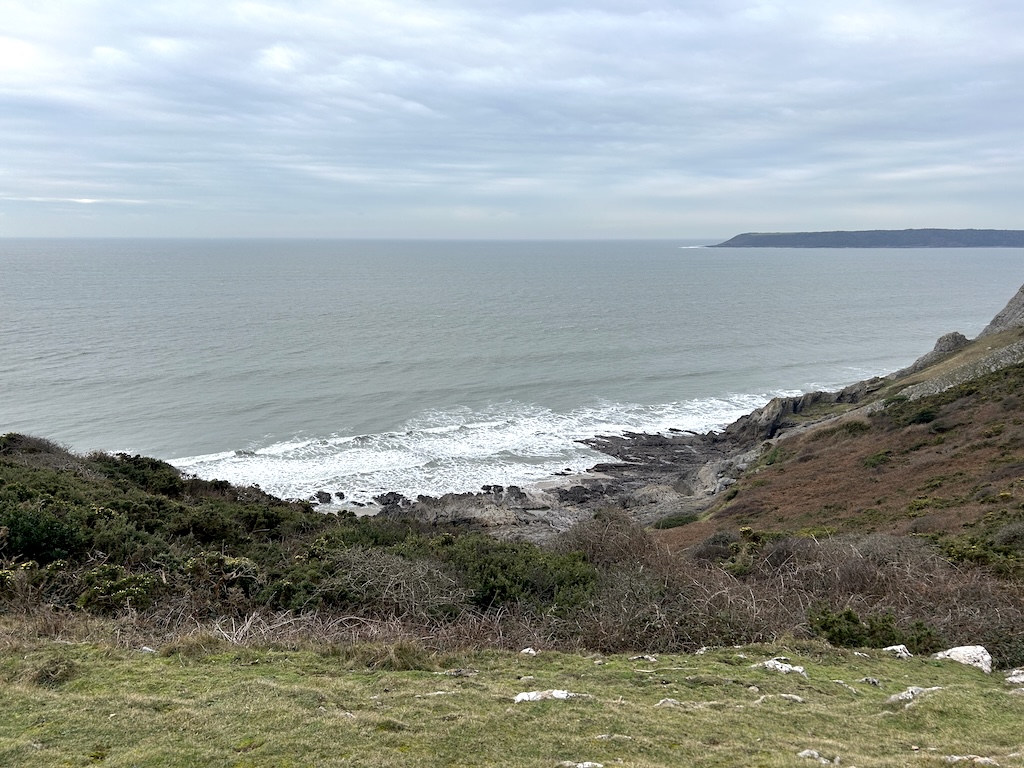 Grassy hill covered in thorny bushes with a rocky cove at the bottom. Grey water and sea in the background.